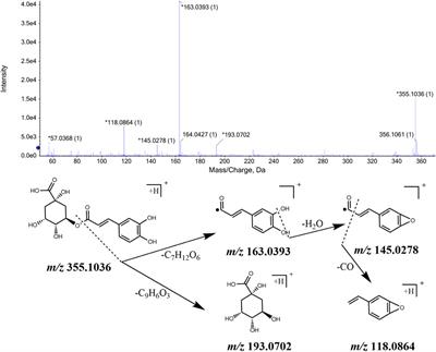 Exploring potential mechanism of ciwujia tablets for insomnia by UPLC-Q-TOF-MS/MS, network pharmacology, and experimental validation